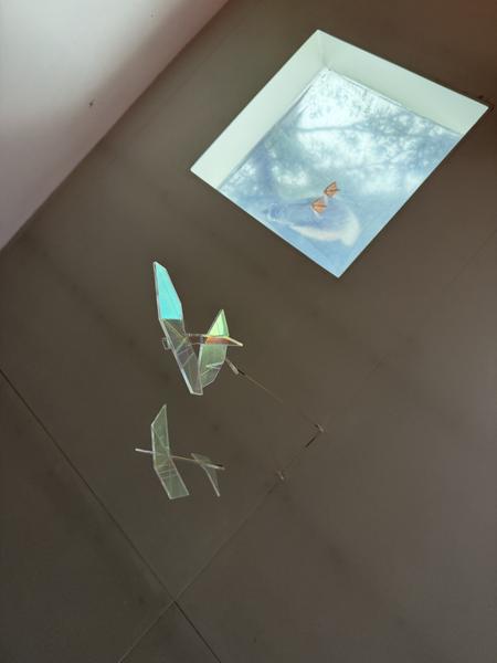 This photo captures a unique indoor perspective, looking up at a kinetic mobile of iridescent birds beneath a skylight